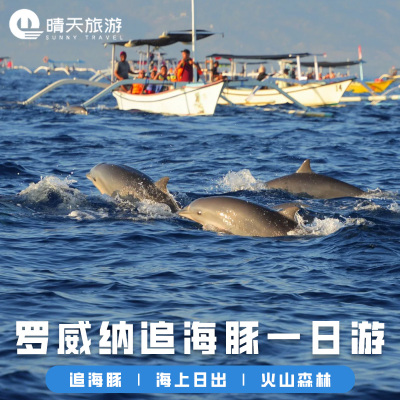 巴厘岛罗威纳一日游