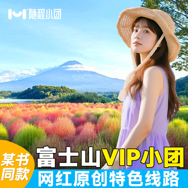 9人封顶小团·日本东京富士山一日游山中湖拼团日本旅游樱花季