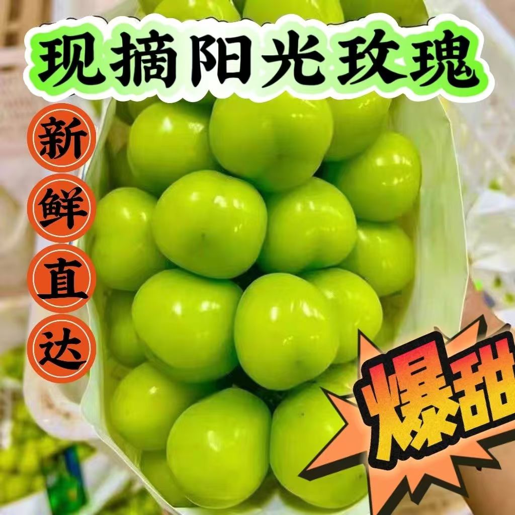 彩箱阳光玫瑰整串晴王葡萄青提无籽提子香印应季新鲜水果批发