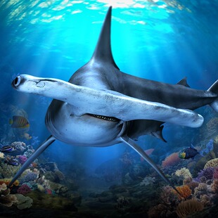 [新加坡海洋生态馆-大门票+赠15新币代金券]