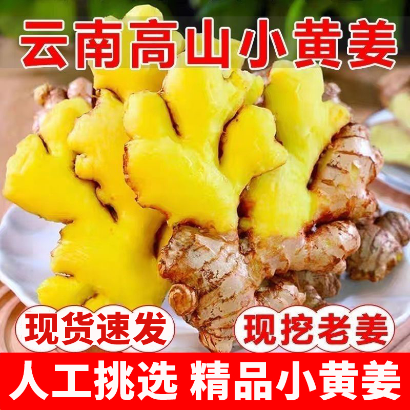 速发小黄姜云南新鲜生姜干老姜嫩姜土姜子姜现挖高山沙姜包邮正宗