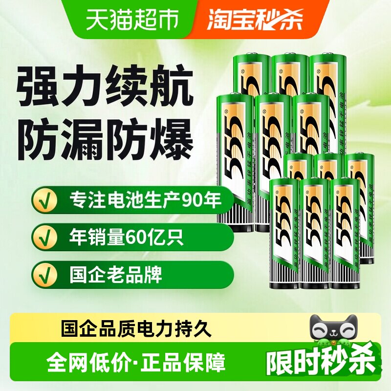 555碳性电池能量持久12粒										