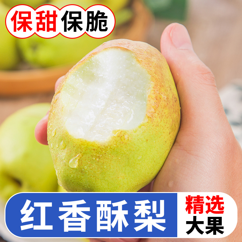 红香酥梨水果新鲜当季香梨4.5斤应季脆甜多汁梨子整箱包邮