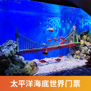 [太平洋海底世界博览馆-大门票+海狮表演]太平洋海底世界博览馆 大门票+海狮表演