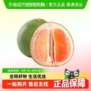 順豐快遞泰國(guó)青柚紅心柚子單果當(dāng)季 包郵 新鮮水果