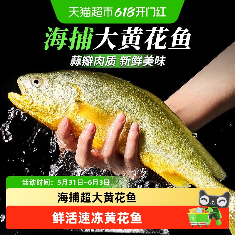 顺丰上门云储生活特大黄花鱼深海冷冻黄瓜鱼宁德海鱼新鲜冷冻黄鱼