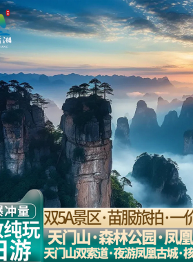 晚班高铁长沙出发张家界旅游4天3晚武陵源森林公园天门山凤凰古城