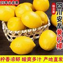 现摘现发 安岳黄柠檬 酸香浓郁 汁多肉厚 生鲜水果 新鲜现摘