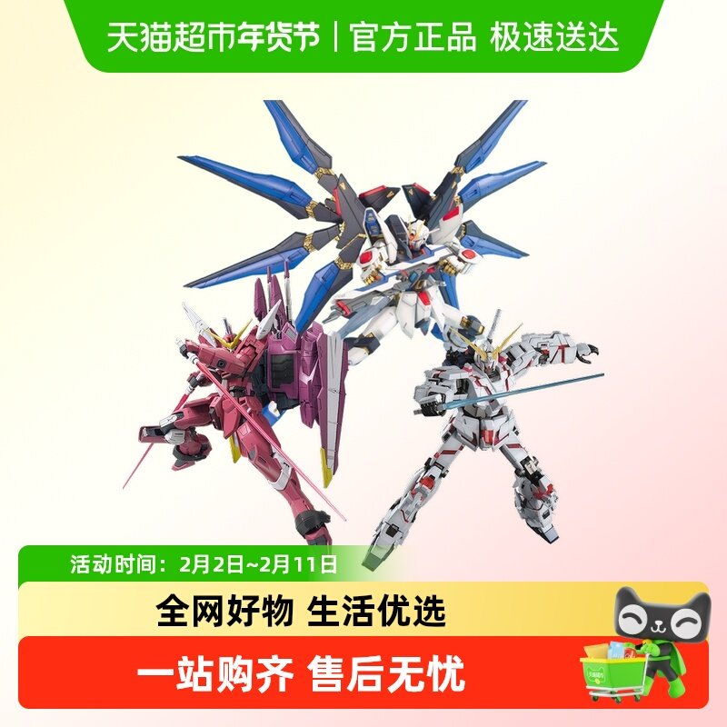 ��� MG 1/100 ǿϮ���ɸߴ�����ߴ�����޸ߴ� ƴװģ��