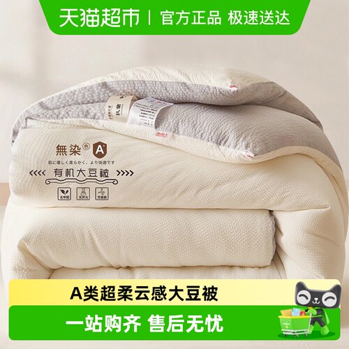 南极人A类大豆纤维被子被芯