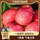 包邮 新鲜水果脆甜红富士整箱 陕西洛川苹果丑苹果冰糖苹果10斤装