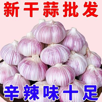 新干蒜头干蒜5斤紫皮大蒜山东金乡农家新鲜蔬菜多瓣蒜批发包邮