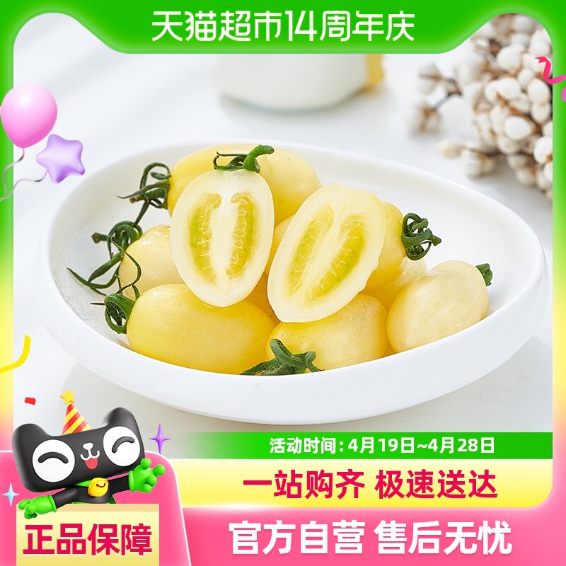 ��˳����ʡ���ǧ������ʥŮ�����ʵ�����ժ����С�������伴ʳ