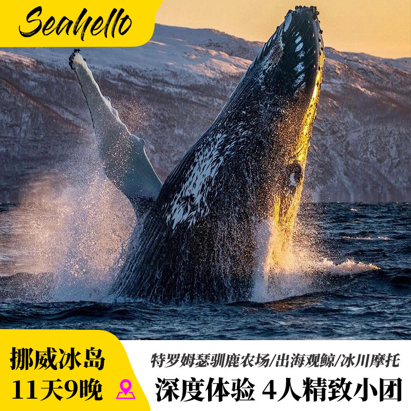 北欧挪威冰岛11日9晚极光卑尔根雷克雅未克4人小团冰岛蓝湖黑沙滩