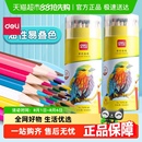 叠色彩笔画笔 得力彩铅小学生画画专用油性彩色铅笔手绘涂色笔套装