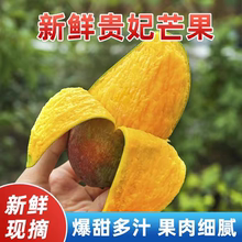 广西贵妃芒果百色辣椒芒果当季新鲜水果小芒果非攀枝花芒果
