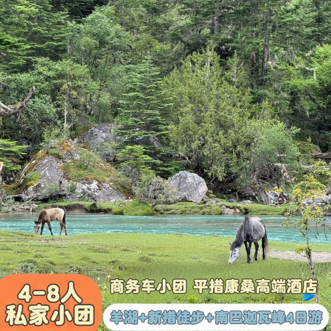 西藏旅游纯玩 林芝4天3晚 小团 徒步新措/南迦巴瓦峰/鲁朗林海,度假线路/签证送关/旅游服务,境内跟团游,淘宝优惠券,粉丝福利购,淘宝优惠卷