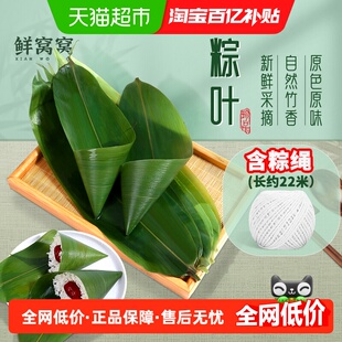 鲜窝窝箬叶大号新鲜粽叶农家箬竹叶天然粽子叶端午节包粽子