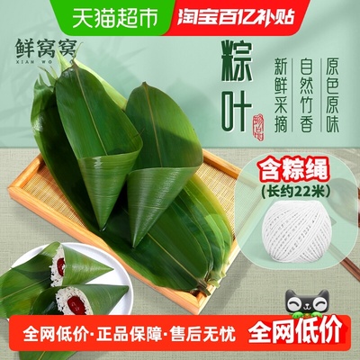 鲜窝窝大号新鲜天然粽叶