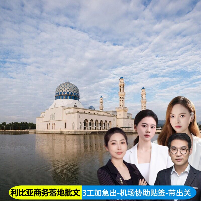 利比亚·商务签证·全国送签·商务落地批文全国受理快速出签