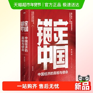 锚定中国 龙白滔 著 看清中国经济现状与前景 消费信心不足宏观