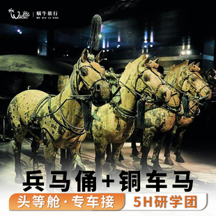 【纯玩8人团无自费】西安出发兵马俑+丽山园可选华清宫一日跟团游