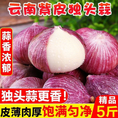 独头蒜湿独头蒜大果新鲜大蒜新蒜紫皮大蒜头独蒜圆蒜批发鲜蒜