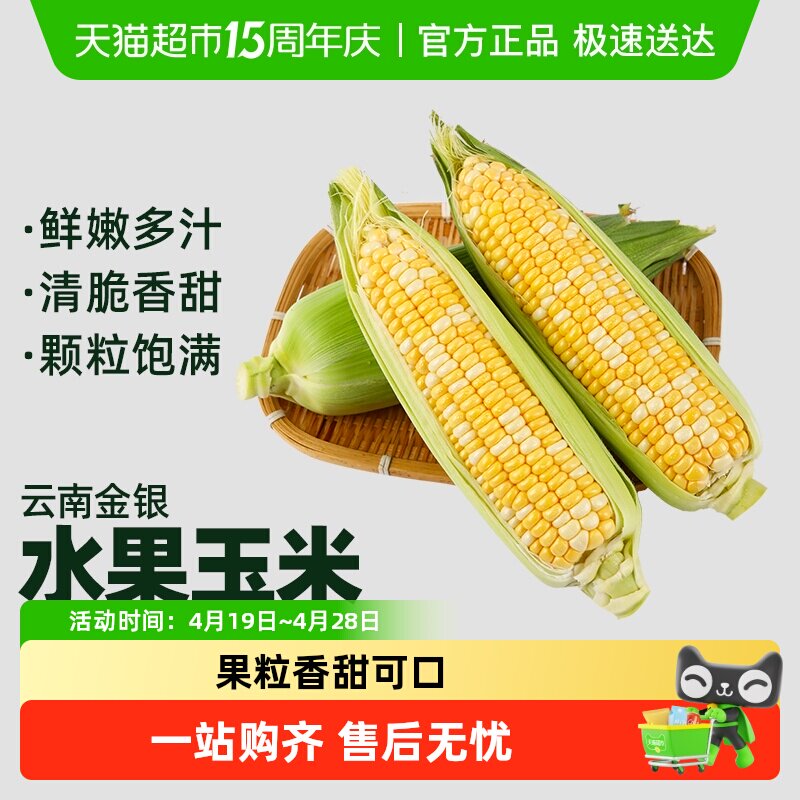 顺丰上门新鲜玉米云南金银水果玉米甜玉米棒子包谷新鲜蔬菜