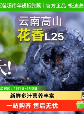 云南花香蓝莓鲜果枝高山新鲜水果特大果l25当季现摘孕妇水果整箱