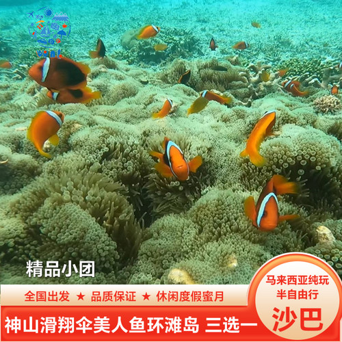 【提前订送送送】往返专车接送机+无限量卡+旅游意外险+管家式服务 【实力靠谱】数十年出境旅行社，服务至上，质量保证+24H在线一条龙管家 【行程自由】景点/酒店可任意DIY，1天自由活动，可升香格里拉、麦哲伦 【路线自组】可组吉隆坡、仙本那、新加坡、可根据您的喜好制定路线