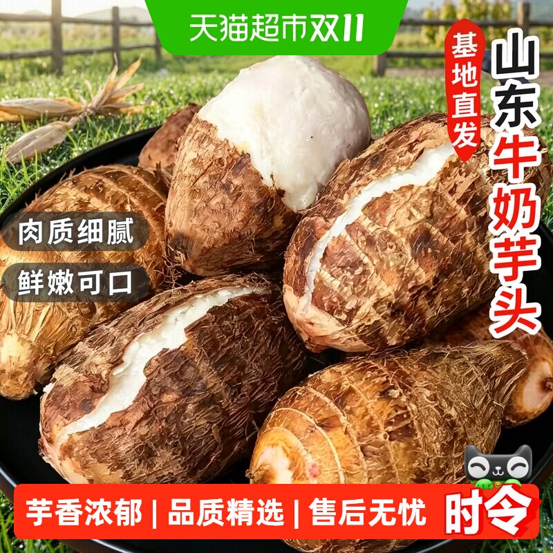 于甄鲜正宗山东牛奶芋头农家香芋新鲜芋仔整箱基地直发