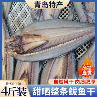 山东青岛特产卤鲜大鲅鱼片甜晒淡干鲅鱼干野生鲅鱼片整条深海鲅鱼