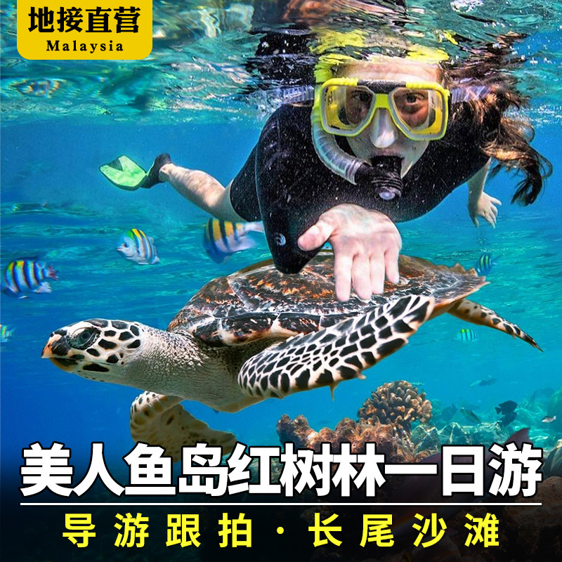 沙巴亚庇美人鱼岛一日游浮深潜潜水kawa红树林萤火虫马来西亚旅游