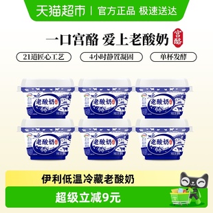 儿童营养早餐酸牛奶 6杯装 伊利低温冷藏老酸奶碗装 风味发酵乳138g