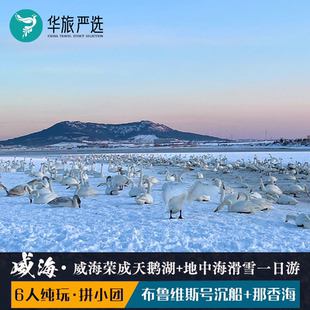 6人小团 冬季威海荣成旅游 天鹅湖 | 地中海滑雪&那香海森林温泉