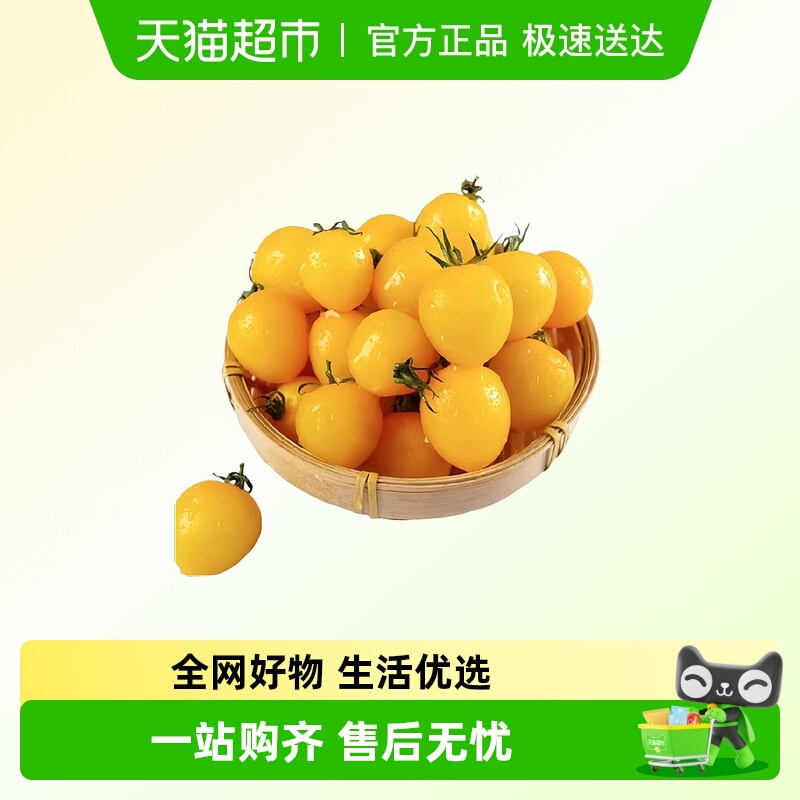 顺丰发货黄色小番茄小柿子新鲜樱桃水果西红柿蔬菜黄金圣女果