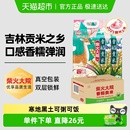 2袋 柴火大院香稻贡米东北大米囤货整箱装 下拉至详情享优惠