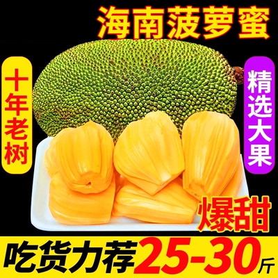 整个大果海南黄肉菠萝蜜新鲜采摘