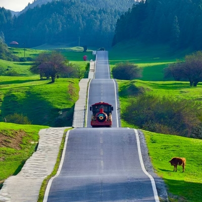 重庆武隆  天生三桥+仙女山含换乘  纯玩一日游