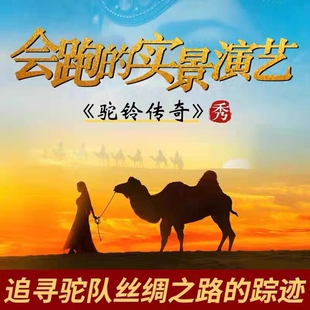 《驼铃传奇》演出票+【市内免费专车接送/座位升级】+赠送陕西历史博物馆门票/古城烽火