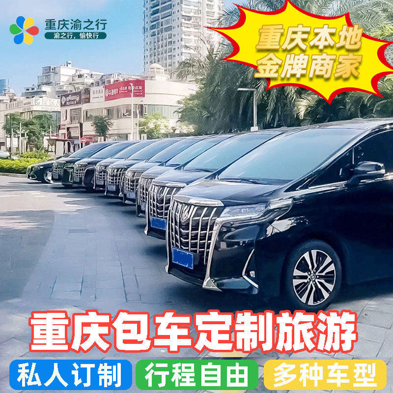 重庆包车游武隆天坑地缝仙女山天生三桥大足石刻市区带司机旅游