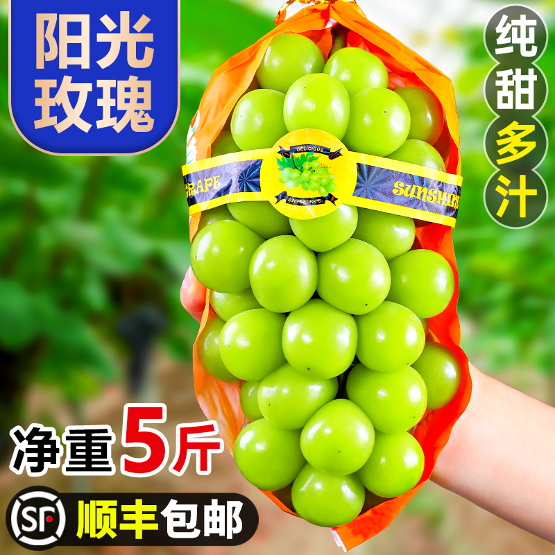 葡萄阳光玫瑰葡萄5斤新鲜水果当季无籽晴王青提子顺丰包邮