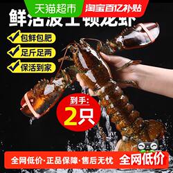 龙虾鲜活波士顿大龙虾加拿大龙虾特大波龙大澳龙海鲜小龙虾