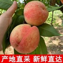 整箱脆桃应季 桃子毛桃5斤新鲜水果现摘红心软桃当季 水蜜桃子