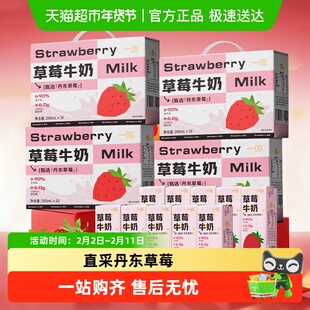 一鸣丹东草莓味生牛乳奶儿童早餐纯香牛奶过年货送礼品盒*4整箱