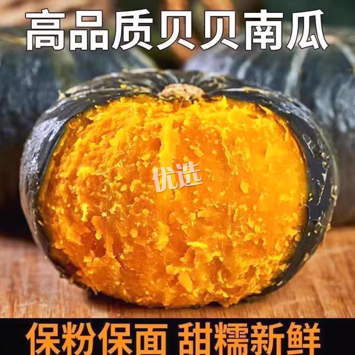 粉糯香甜板栗味贝贝南瓜口感绵密小南瓜包邮