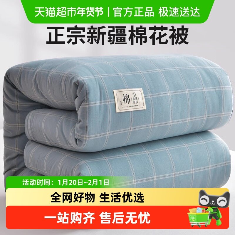 新疆棉花被子冬被棉被棉芯冬季加厚保暖单人春秋被棉花被芯棉絮,床上用品,棉花被,淘宝优惠券,粉丝福利购,淘宝优惠卷