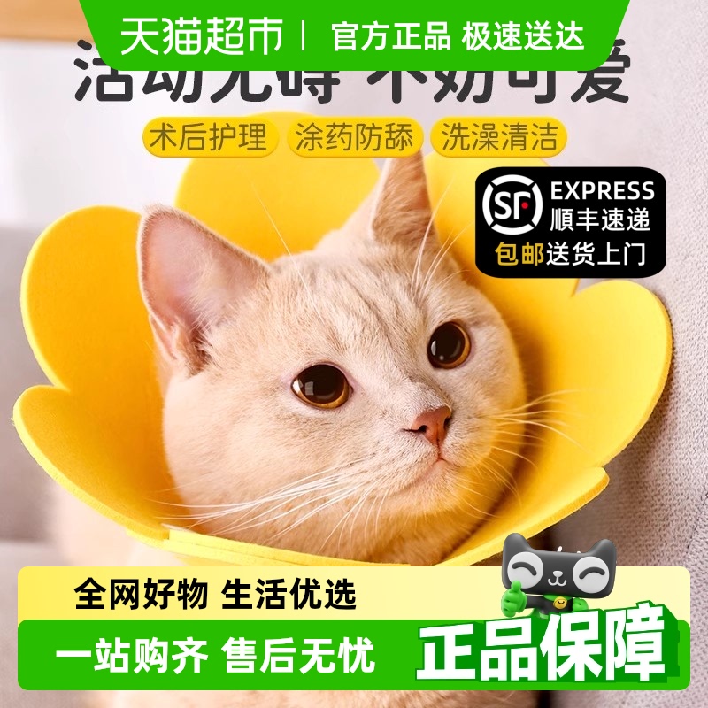 柒哦伊丽莎白圈猫咪绝育项圈伊利沙白圈防舔颈圈狗狗脖圈宠物用品