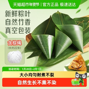 裕庆堂真空箬竹粽叶端午包粽子摆盘大小均匀天然生长不易开裂严选