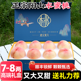 直播专享7 整箱礼盒 8两6枚 正宗无锡阳山水蜜桃子新鲜水果当季